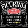 Aroma Ficurinia N47 10ml DREAMODS