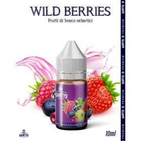 WILD BERRIES Aroma Concentrato 10ml DAINTYS