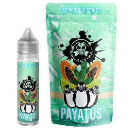 PAYATUS ICE PENGUIN Aroma 20 ml Galactika