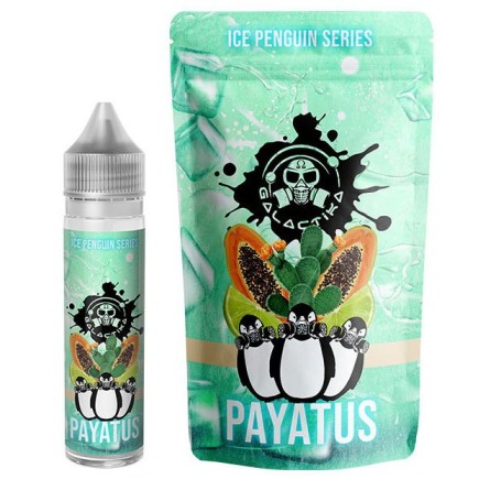 PAYATUS ICE PENGUIN Aroma 20 ml Galactika svapo