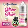 Mr Melon MiniShot 10+10 (CYBERFLAVOUR)