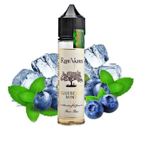 Aroma Blueberry Mint 20ml RIPE VAPES