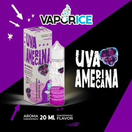 UVA AMERICANA VAPORICE Aroma 20ml VAPORART