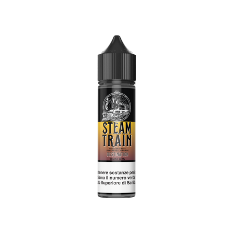 DESTINATION Aroma Shot 20ML STEAM TRAIN per Steam Train Shot | Prodotti per lo svapo e sigarette elettroniche  by Steam Train