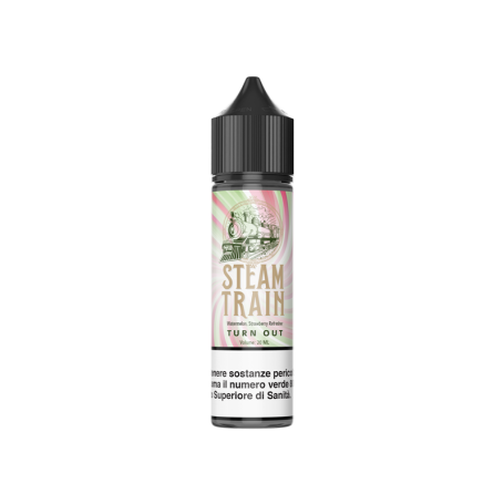 TURN OUT Aroma Shot 20ML STEAM TRAIN per Steam Train Shot | Prodotti per lo svapo e sigarette elettroniche  by Steam Train