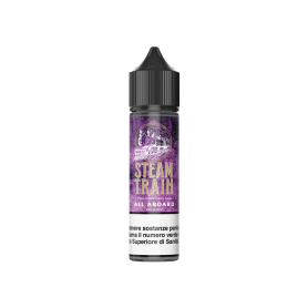 ALL ABOARD Aroma Shot 20ML STEAM TRAIN per Steam Train Shot | Prodotti per lo svapo e sigarette elettroniche  by Steam Train
