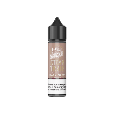 MAGNIFICENT Aroma Shot 20ML STEAM TRAIN per Steam Train Shot | Prodotti per lo svapo e sigarette elettroniche  by Steam Train