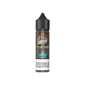 TRAIN TO HEAVEN Aroma Shot 20ML STEAM TRAIN per Steam Train Shot | Prodotti per lo svapo e sigarette elettroniche  by Steam Trai