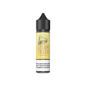 EXPRESS Aroma Shot 20ML STEAM TRAIN per Steam Train Shot | Prodotti per lo svapo e sigarette elettroniche  by Steam Train