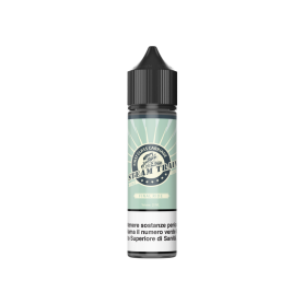 FINAL RIDE Aroma Shot 20ML STEAM TRAIN per Steam Train Shot | Prodotti per lo svapo e sigarette elettroniche  by Steam Train