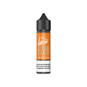 TRAQUERO Aroma Shot 20ML STEAM TRAIN per Steam Train Shot | Prodotti per lo svapo e sigarette elettroniche  by Steam Train