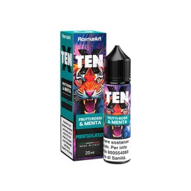 FRUTTI ROSSI E MENTA Ten X Aroma Shot 20+40 ml FLAVOURART