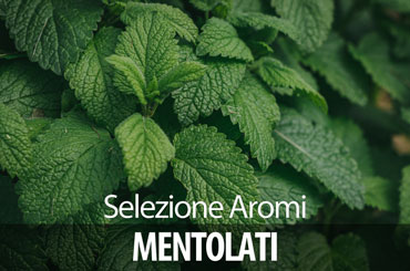 aroma mentolato per sigaretta elettronica svapo menta fresca