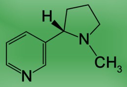La nicotina non provoca il cancro: uno sguardo lucido oltre i miti